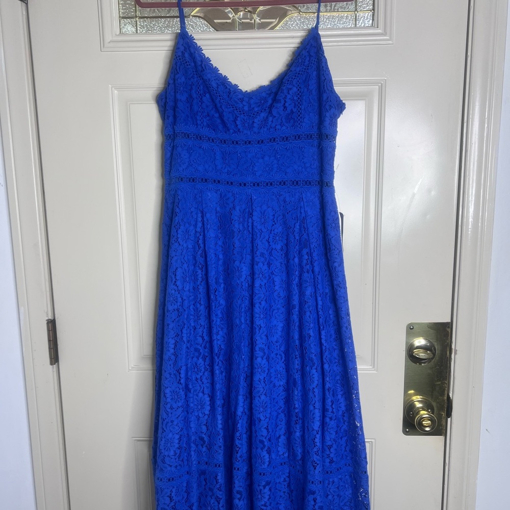 NSR Blue Lace Midi Dress